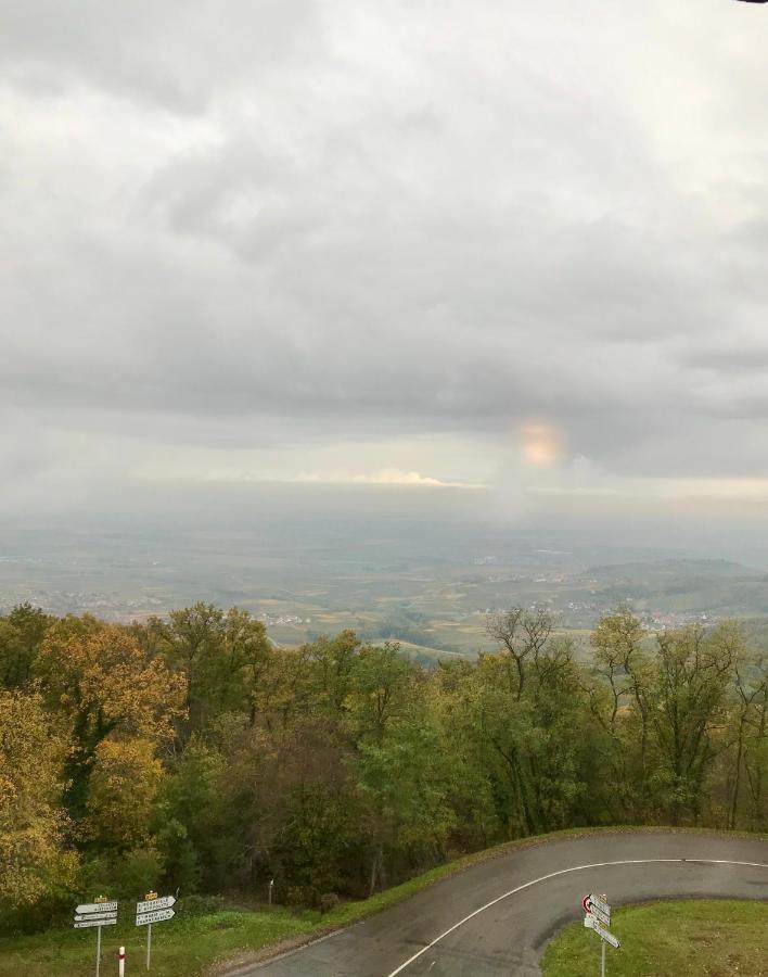 Les Du Haut-koenigsbourg *