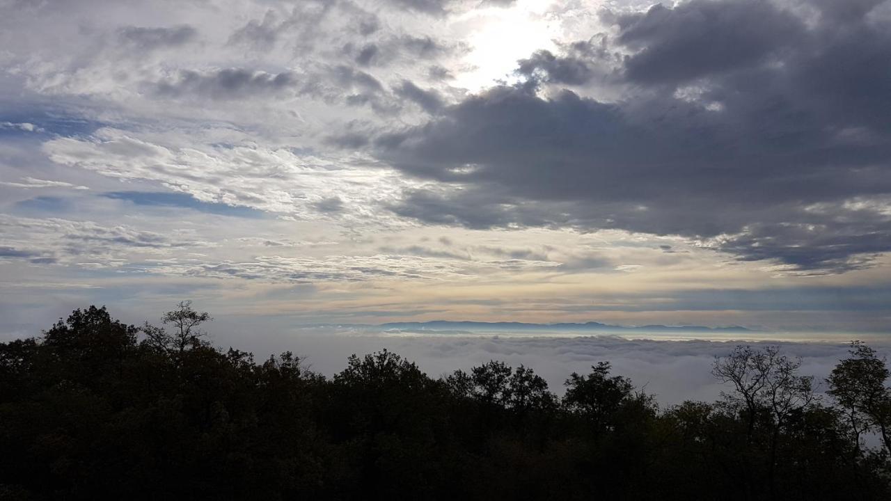 Les Du Haut-koenigsbourg