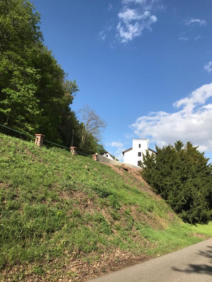 Domaine Du Haut-koenigsbourg Bed & Breakfast Orschwiller